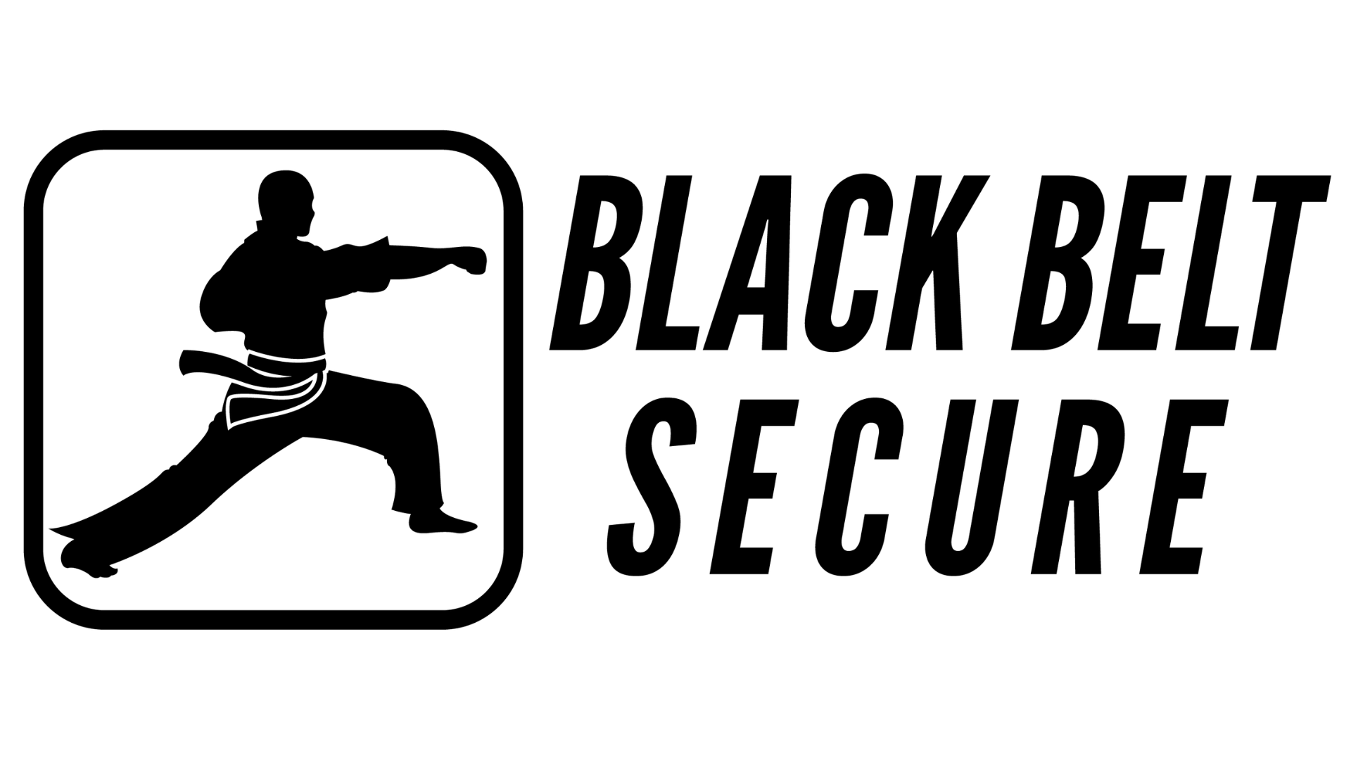 Black Belt Secure -Logo